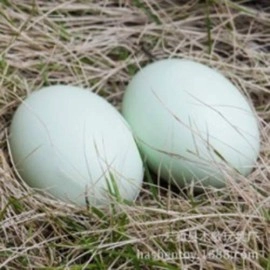 Super Wooden Egg (Duck egg)