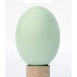 Super Wooden Egg (Duck egg)