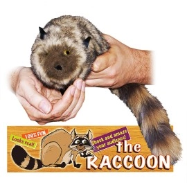 The Raccoon 