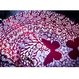 Butterfly Playing Cards Marked (Red) by Ondrej Psenicka