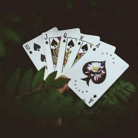 Spielkarten Carpe Noctem Playing Cards