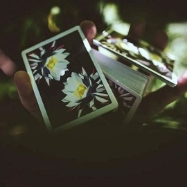 Spielkarten Carpe Noctem Playing Cards