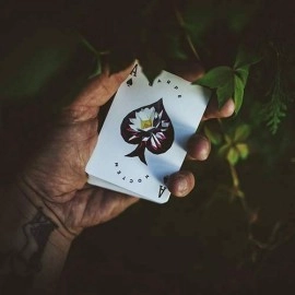 Spielkarten Carpe Noctem Playing Cards