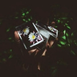 Spielkarten Carpe Noctem Playing Cards