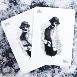 Kartenspiel Bicycle Artifice Tundra von Ellusionist