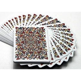 Bicycle Disruption Deck (Limited Edition) by Collectable Playing Cards 