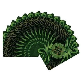 Spielkarten Bicycle Thorn Deck