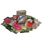 Spielkarten Botania Deck