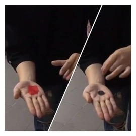 Petal to Coin by JL Magic