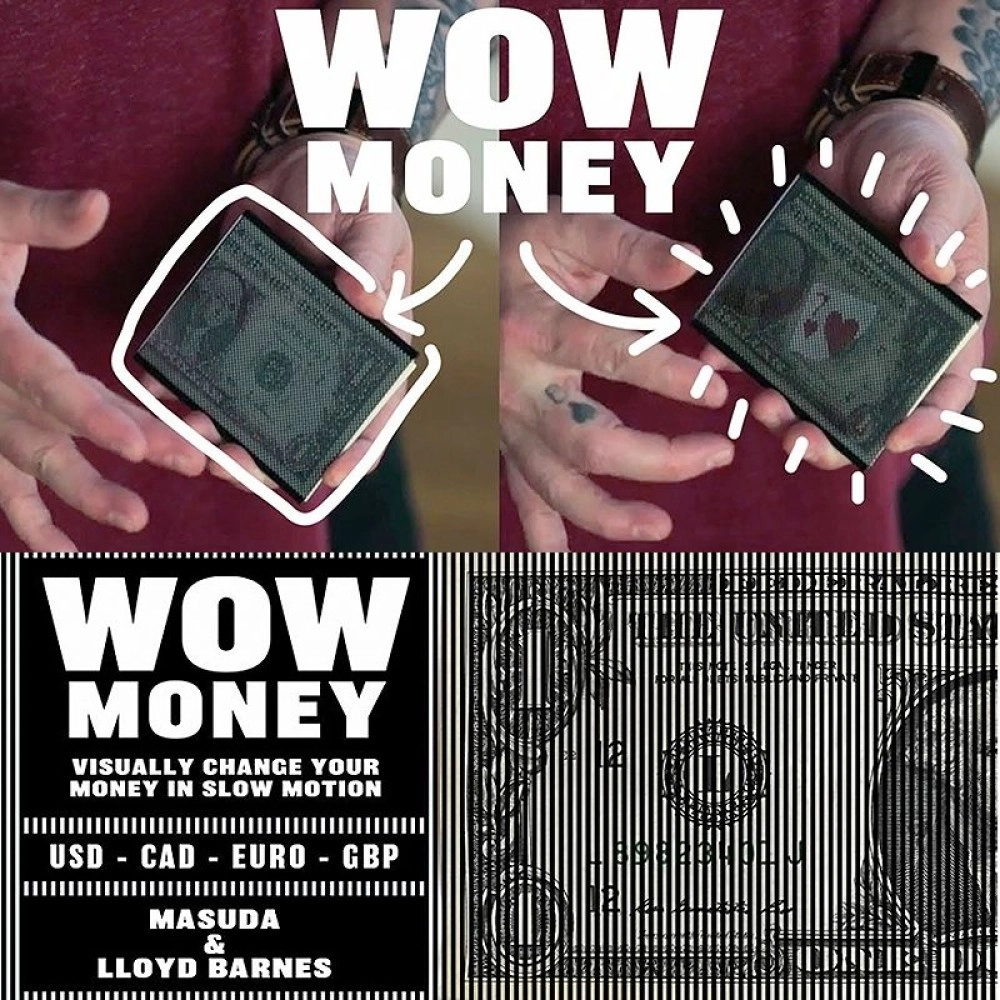 WOW Money by Masuda & Lloyd Barnes - Euro