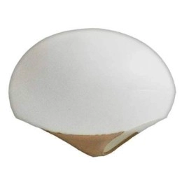 Aerial Egg by The Great Gorgonzola
