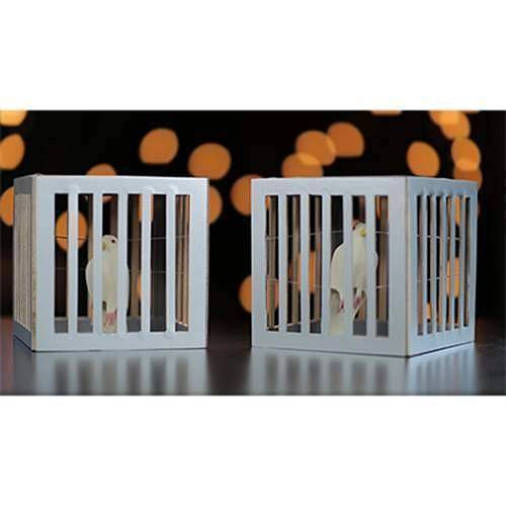 Amazing Cages from Frame by Tora Magic