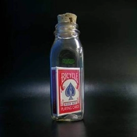 Anything Is Possible Bottle (Red Back Bicycle) by Jamie D. Grant