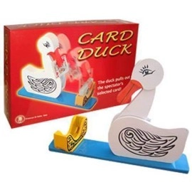 Card Duck