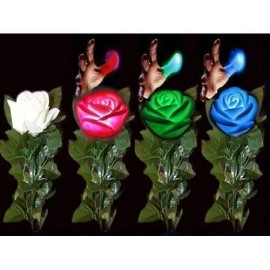 Color Changing Lighting Rose with Thumb Tip (3 Times) by Tora Magic