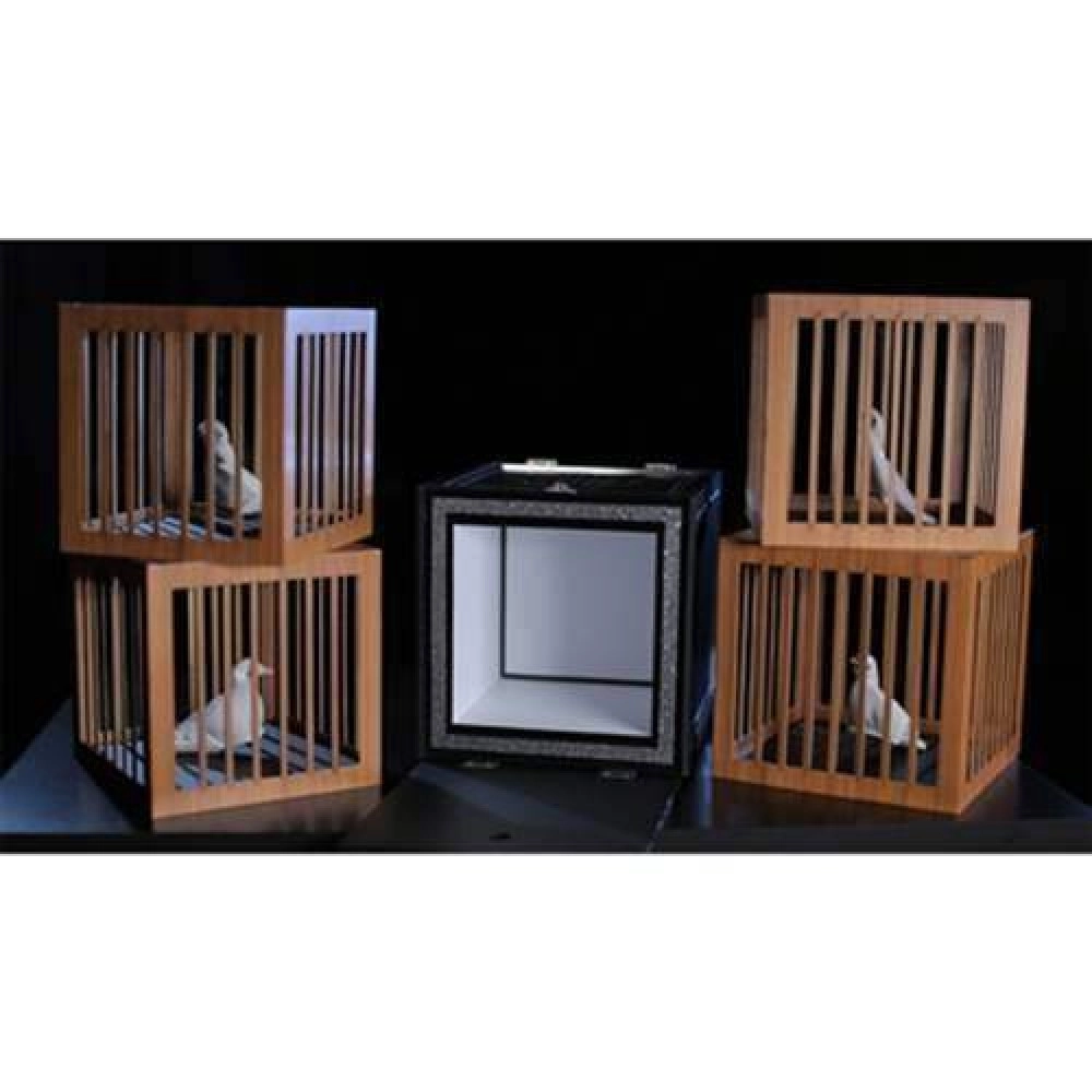 Everything to 4 Dove Cages by Tora Magic 