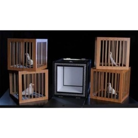 Everything to 4 Dove Cages by Tora Magic 