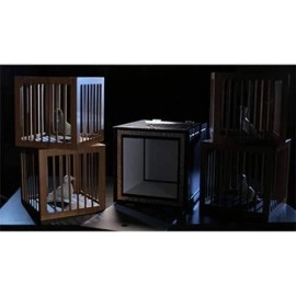 Everything to 4 Dove Cages by Tora Magic 