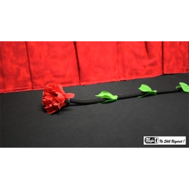 Fresh Flower by Mr. Magic