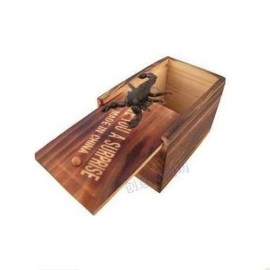 Wooden Insect-Inside Box