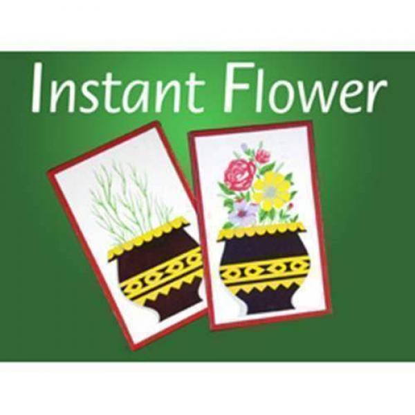 Instant Flower - Stage version - Deluxe