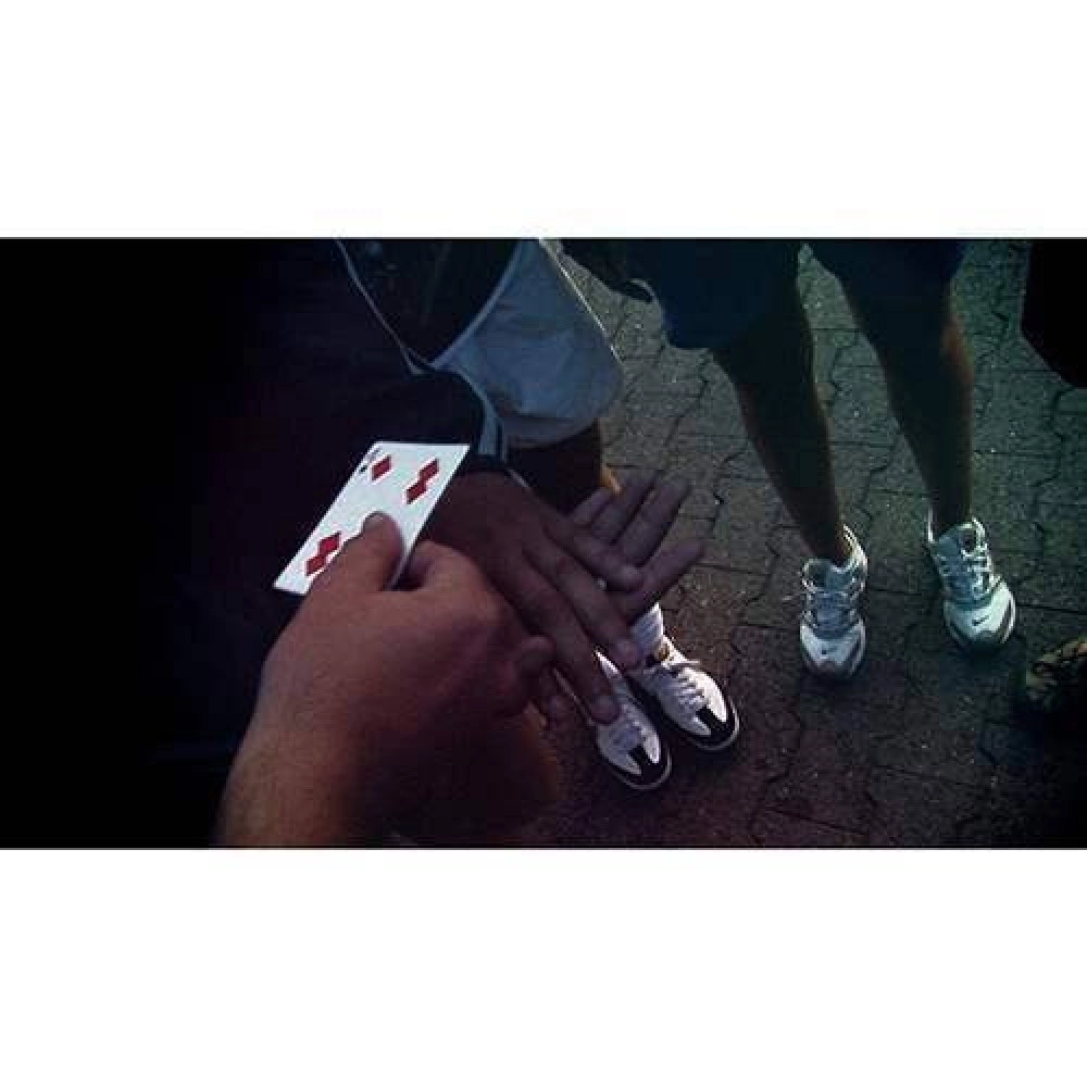 DistorTion by Wayne Houchin & Theory11 (DVD & Gimmick) 