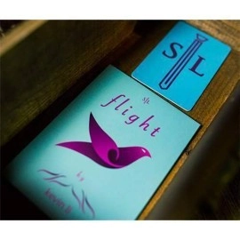 Flight by Kevin Li and Shin Lim 