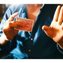 Flight by Kevin Li and Shin Lim 