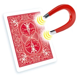 Shim Card - Bicycle Red Back