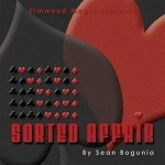 Sorted Affair (2013) by Sean Bogunia
