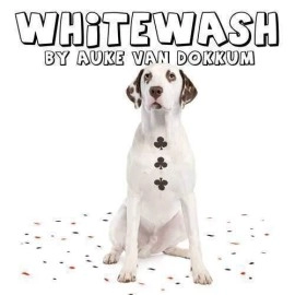 Whitewash by Auke van Dokkum