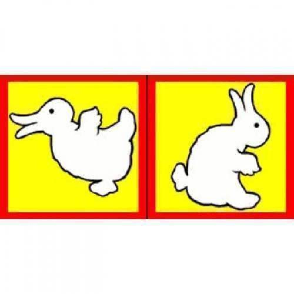 Duck to Rabbit silk