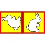 Duck to Rabbit silk