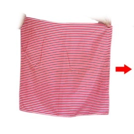 Stripe Flip