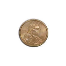 Shim Shell New Dollar - Heads only