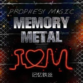 Memory Metal Wire - I love U
