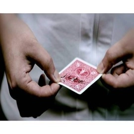 Holely von SansMinds (DVD & Gimmick) 