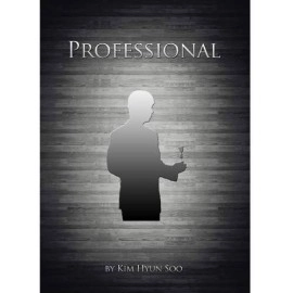 Professional by Kim Hyun Soo 