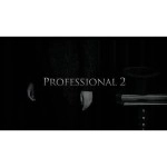 Professional 2by Kim Hyun Soo 