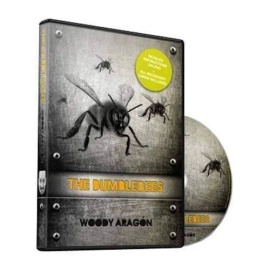 The Bumblebees by Woody Aragon