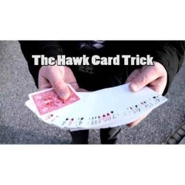 The Hawk 2.0 (Gimmicks and Video)
