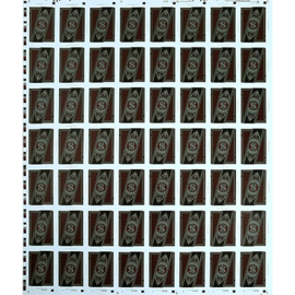 Run Playing Cards: Bankroll Edition (Uncut Sheet)