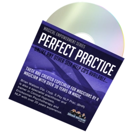 Perfect Practice (Empowerment Series) by Brian Watson
