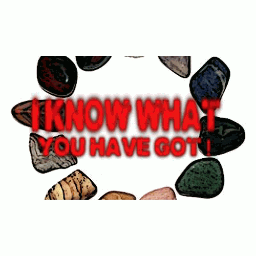 I know what you have got by Dan Alex - Ebook