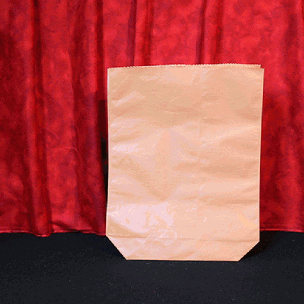 Grocery Pop Change Bag (Large) by Mr. Magic