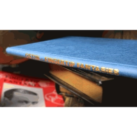 Fingertip Fantasies (Limited/Out of Print) by Bob Ostin - Book