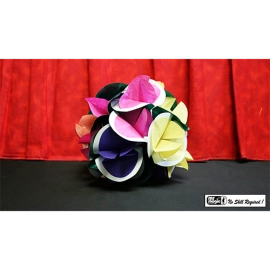 Spring Flowers (25 ct./Paper) by Mr. Magic