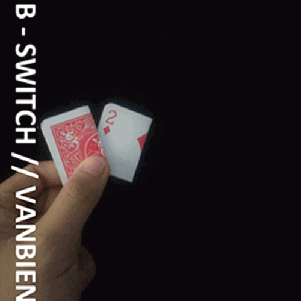 B-SWITCH by Vanbien video DOWNLOAD