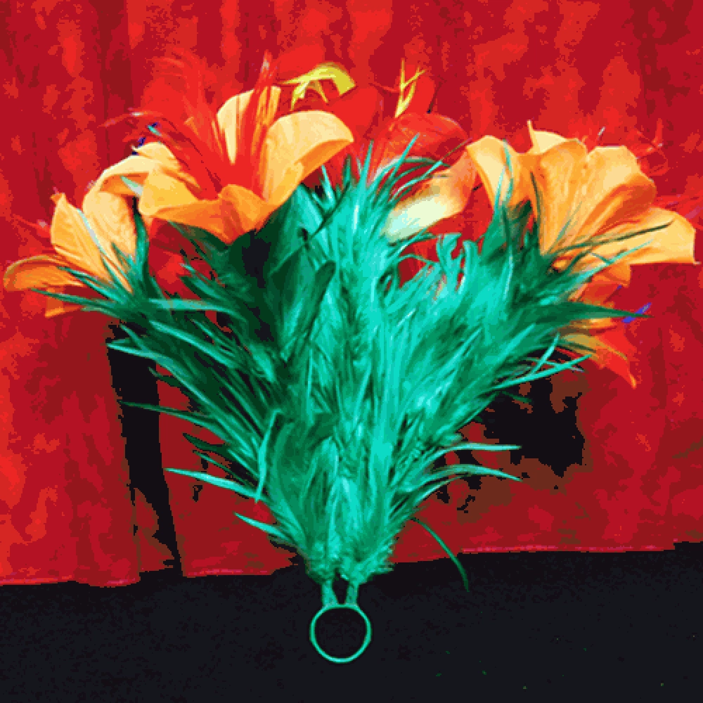 Classic Sleeve Bouquet Pair (6) Deluxe by Mr. Magic