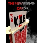 K.O.R - King of the Rise (Red) by Olivier Pont